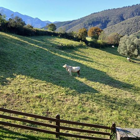 Apartamentos Calm & Nature - Adults Only Cabezón de Liébana エクステリア 写真