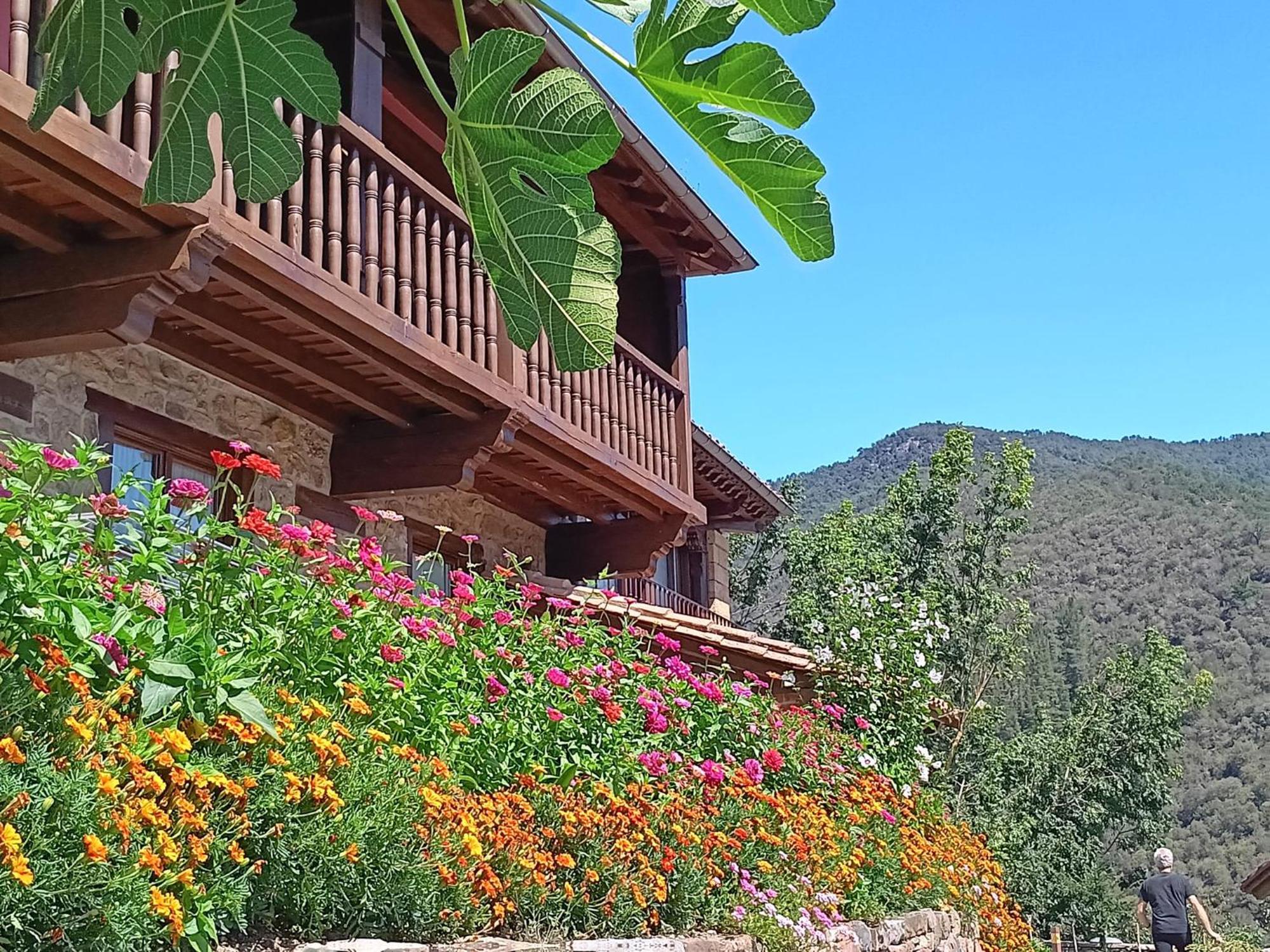 Apartamentos Calm & Nature - Adults Only Cabezón de Liébana エクステリア 写真