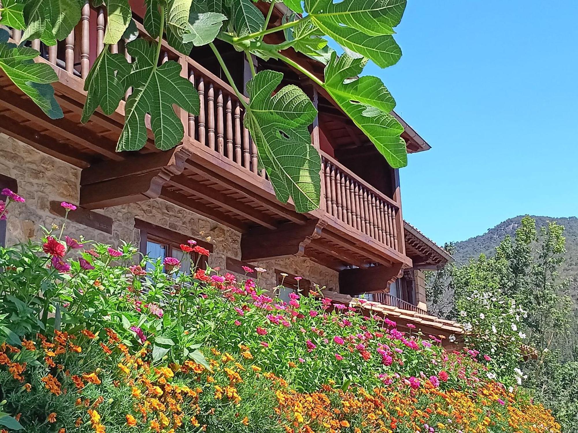 Apartamentos Calm & Nature - Adults Only Cabezón de Liébana エクステリア 写真