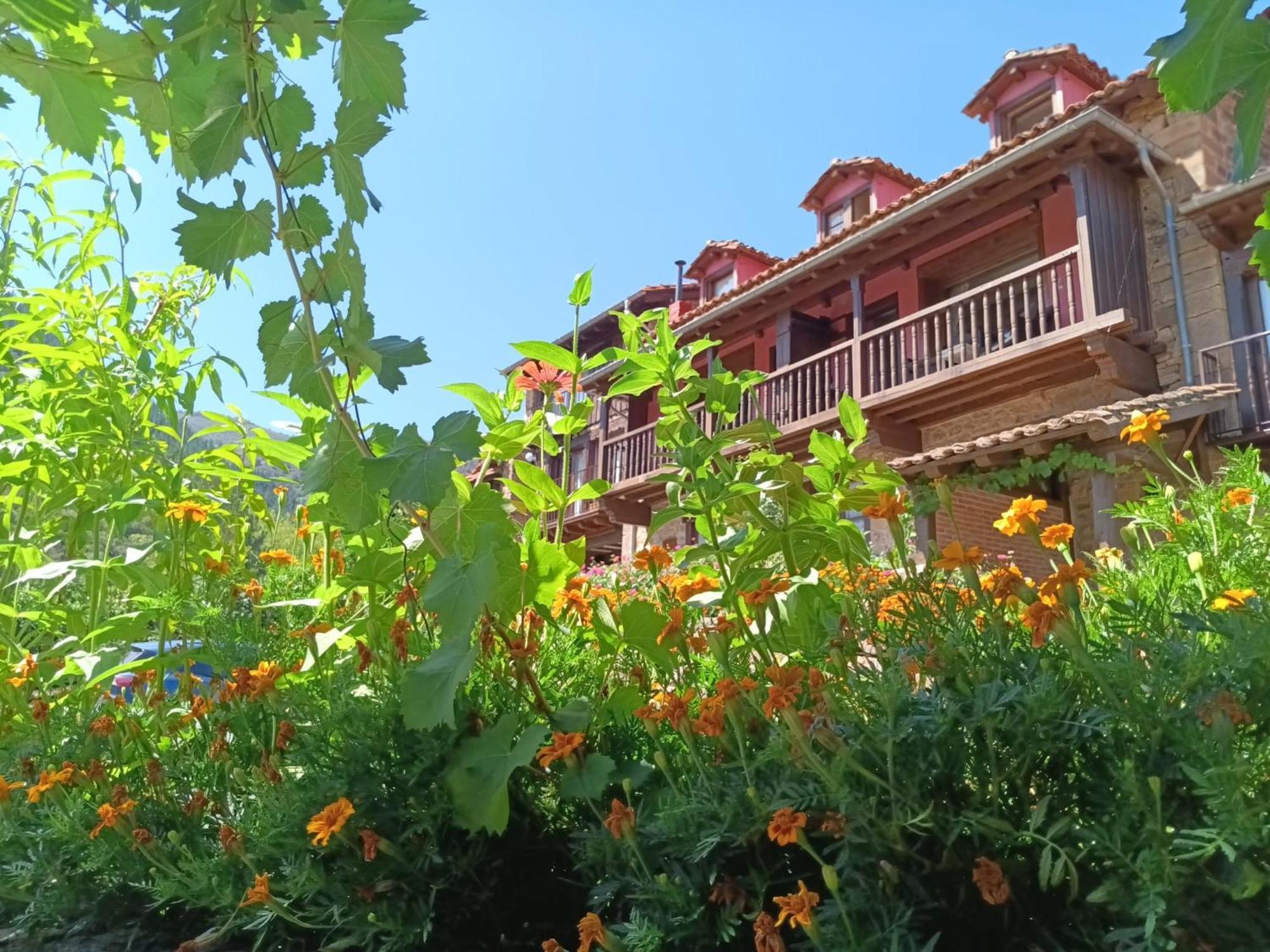 Apartamentos Calm & Nature - Adults Only Cabezón de Liébana エクステリア 写真