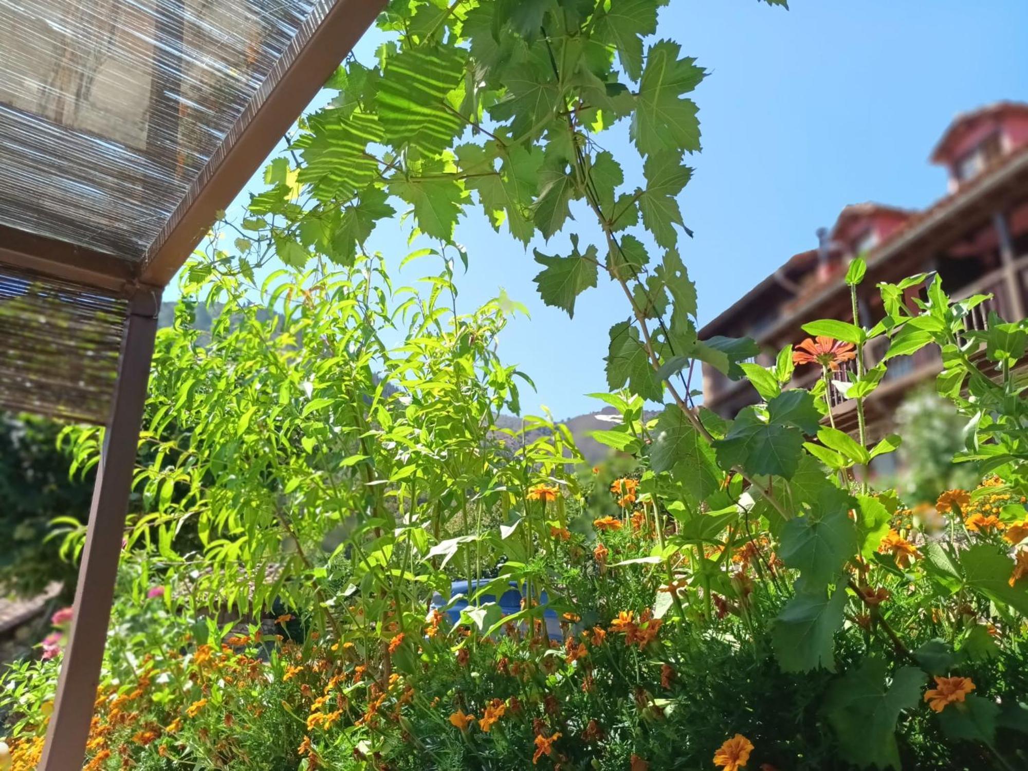 Apartamentos Calm & Nature - Adults Only Cabezón de Liébana エクステリア 写真