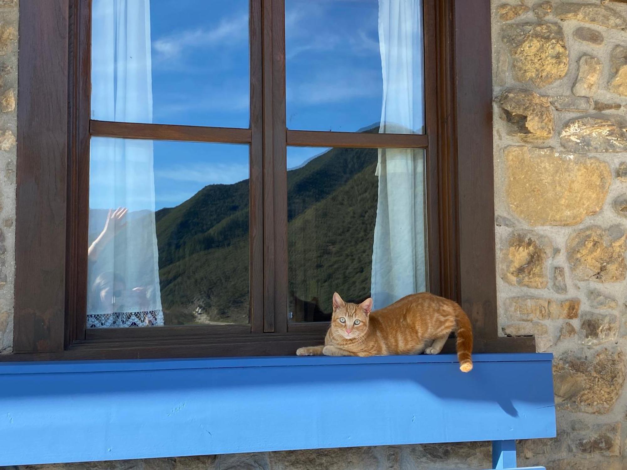 Apartamentos Calm & Nature - Adults Only Cabezón de Liébana エクステリア 写真
