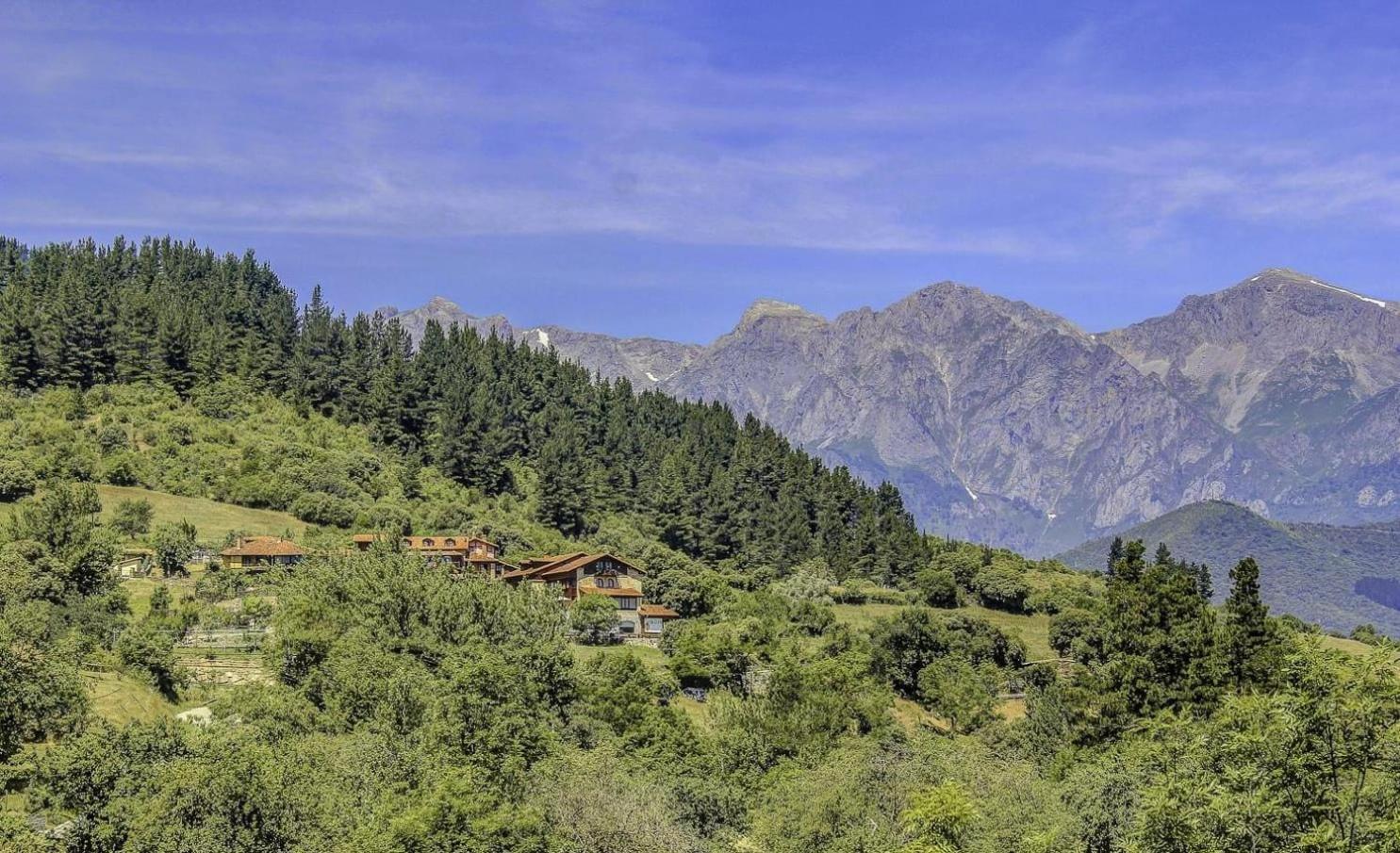 Apartamentos Calm & Nature - Adults Only Cabezón de Liébana エクステリア 写真