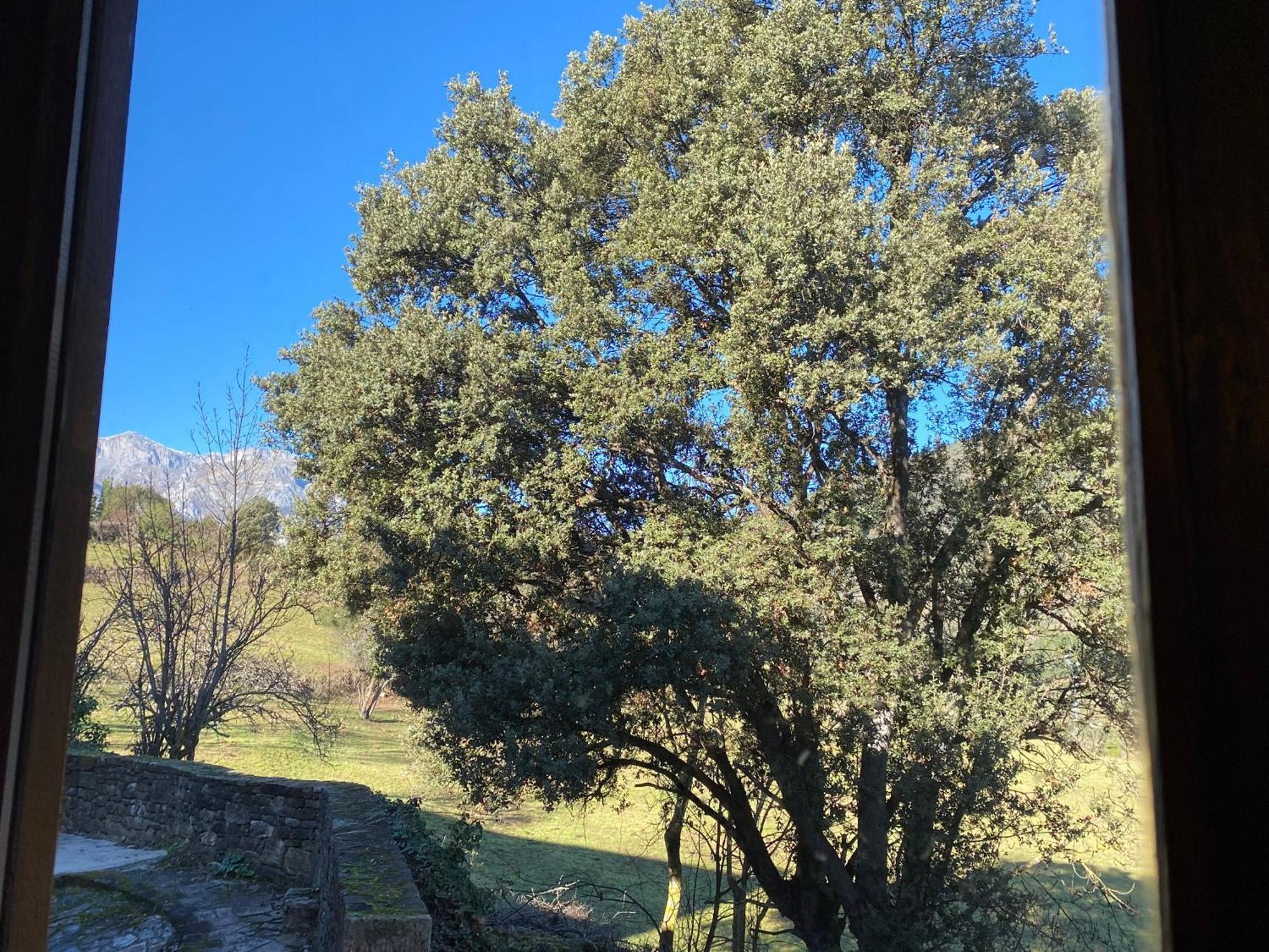 Apartamentos Calm & Nature - Adults Only Cabezón de Liébana エクステリア 写真