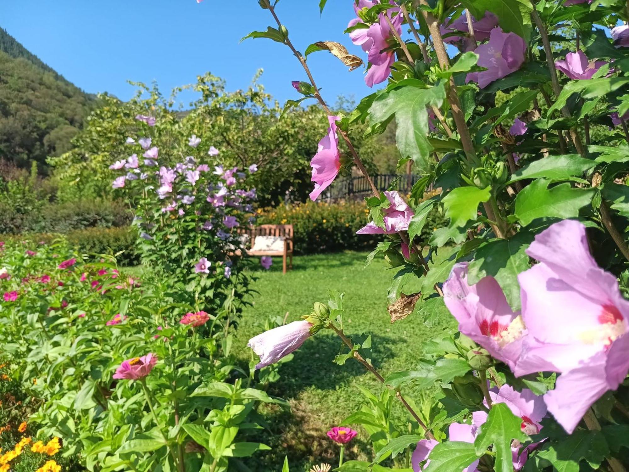 Apartamentos Calm & Nature - Adults Only Cabezón de Liébana エクステリア 写真