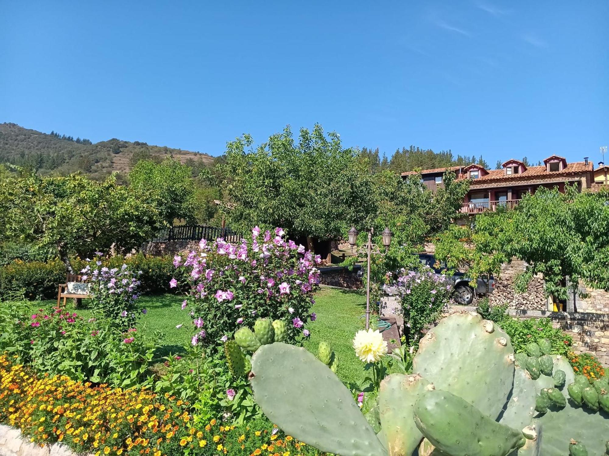 Apartamentos Calm & Nature - Adults Only Cabezón de Liébana エクステリア 写真