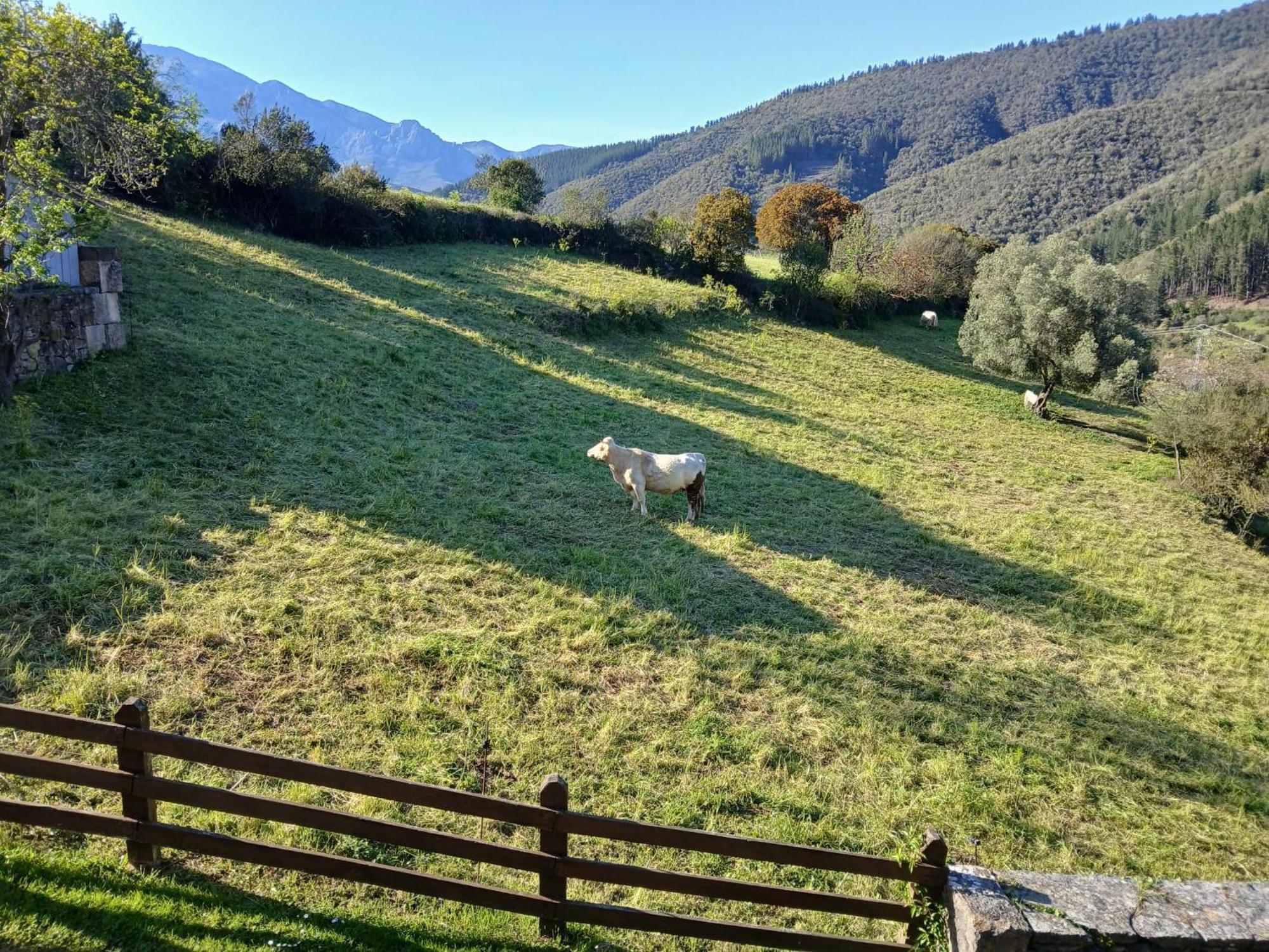Apartamentos Calm & Nature - Adults Only Cabezón de Liébana エクステリア 写真